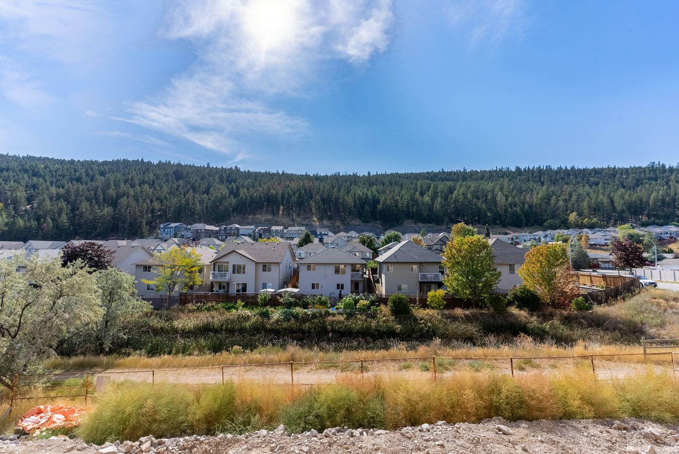 Trail through the valley grasses below Pineview homes and the forested ridge